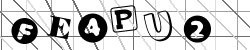 Insert captcha